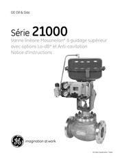 GE 21000 Serie Mode D'emploi