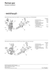 Weishaupt GT 50 FF9M Consignes D'installation
