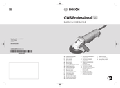 Bosch GWS 9-100 P Professional Notice Originale
