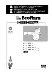 Ecoflam BLU 170 P Mode D'emploi