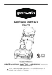 GreenWorks 2600202 Guide D'utilisation
