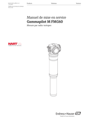 Endress+Hauser Gammapilot M FMG60 Manuel De Mise En Service