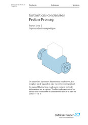 Endress+Hauser Proline Promag Serie Manuel D'instructions