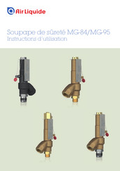 Air Liquide MG-95 Instructions D'utilisation