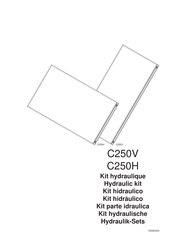 De Dietrich C250H Mode D'emploi