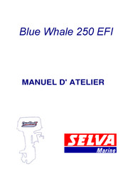 SELVA MARINE Blue Whale 250 EFI Manuel D'atelier