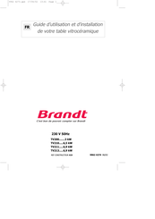 Brandt TV220 Guide D'utilisation Et D'installation