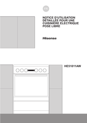Hisense HE51011AW Notice D'utilisation