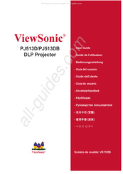ViewSonic PJ513DB Guide De L'utilisateur