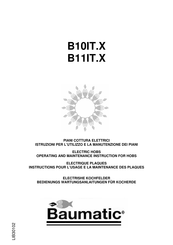 Baumatic B10IT.X Instructions Pour L'usage Et La Maintenance