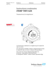 Endress+Hauser iTEMP TMT142B Instructions