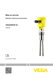 Vega VEGAWAVE 61 Mise En Service