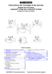 ARI ARMATUREN PN6-160 Instructions De Montage Et De Service