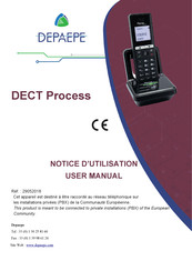 Depaepe DECT Process Notice D'utilisation