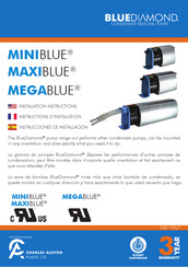 BlueDiamond MegaBlue Instructions D'installation