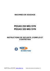 Alfain PEGAS 250 MIG SYN Instructions De Sécurité, D'emploi Et D'entretien