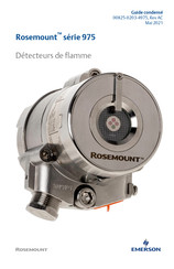 Emerson Rosemount 975 Série Guide Condensé