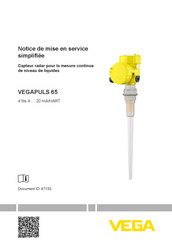 Vega VEGAPULS 65 Notice De Mise En Service