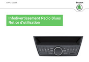 Skoda Blues Notice D'utilisation