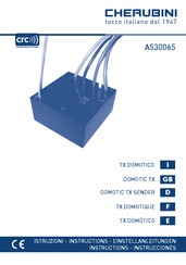 Cherubini A530065 Instructions