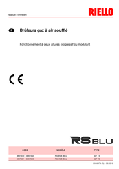 Riello RS 45/E BLU Manuel D'entretien