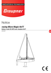 GRAUPNER racing Micro Magic HoTT Notice
