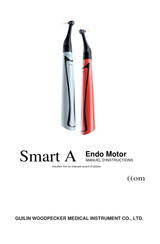 Woodpecker Smart A Endo Motor Manuel D'instructions