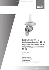 ITRON RR16 Mode D'emploi