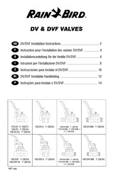 Rain Bird 125-DVF-MB Instructions Pour L'installation Et L'emploi