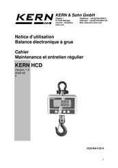 KERN HCD 100K-2D Notice D'utilisation