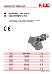 Riello GAS 10 P/M Instructions Pour Installation, Utilisation Et Entretien