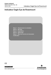 Emerson ROSEMOUNT Eagle Eye Guide Condensé