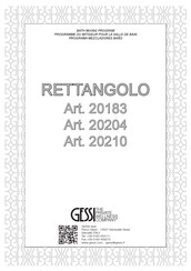 Gessi Rettangolo 20204 Manuel D'utilisation