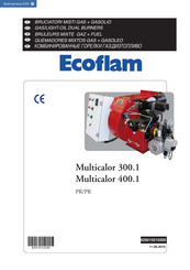 Ecoflam Multicalor 300.1 Mode D'emploi