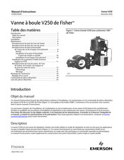 Emerson Fisher V250 Manuel D'instructions