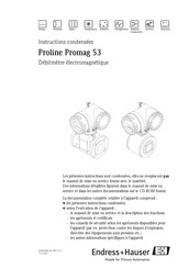 Endress+Hauser PROline promag 53 Instructions Condensées