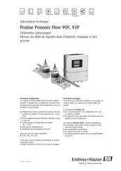 Endress+Hauser Proline Prosonic Flow 90P Information Technique