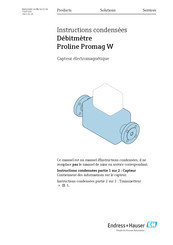 Endress+Hauser Proline Promag W Instructions Condensées