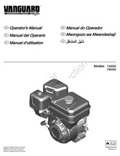 Briggs & Stratton 190000 Manuel D'utilisation