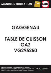 Gaggenau VG295250 Manuel D'utilisation