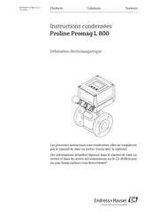 Endress+Hauser Proline Promag L 800 Instructions Condensées