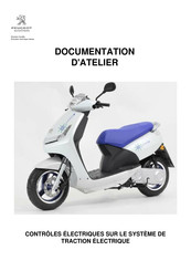 PEUGEOT SCOOTERS E-VIVACITY Documentation D'atelier