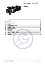 Grundfos NBG 50 Instructions De Service