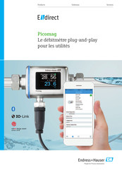 Endress+Hauser E-direct Picomag Guide Rapide