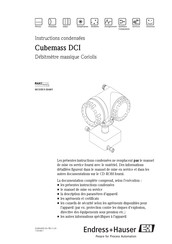 Endress+Hauser Cubemass DCI Instructions Condensées