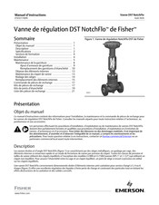 Emerson Fisher DST NotchFlo Manuel D'instructions