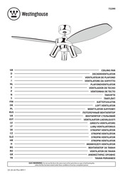 Westinghouse 72290 Mode D'emploi