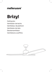 Mellerware Brizy! Mode D'emploi