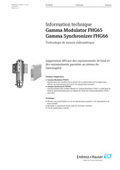 Endress+Hauser FHG66 Information Technique