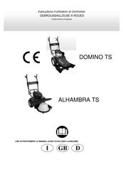 Briggs & Stratton DOMINO TS Instructions D'utilisation Et D'entretien